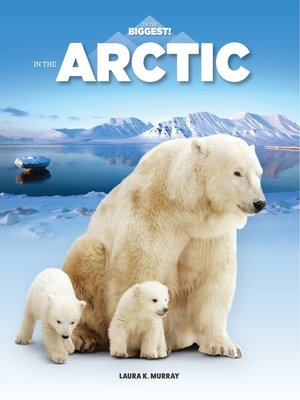 cover image of In the Arctic